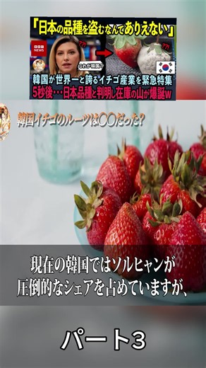 「日本イチゴしょっぼーーｗｗ」韓国イチゴに300億の市場を奪われた日本→2年後、韓国イチゴが腐りまくり在庫の山が爆誕した理由【海外の反応】3
