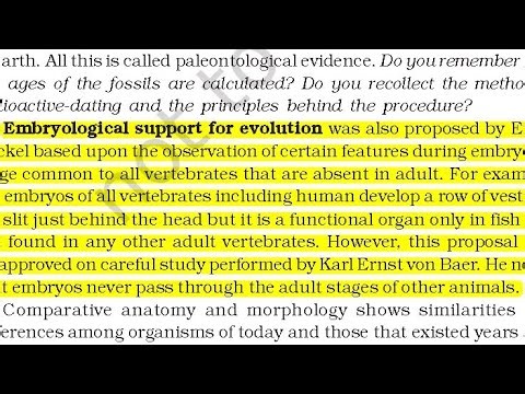 Embryological Evidence Of Evolution - Easy Explanation (NEET) Class 12th