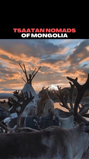 The Tsaatan nomads of northern Mongolia are one of the world’s last reindeer-herding communities. Living deep in the taiga forests, they migrate year-round with their herds, relying on reindeer for transport, milk, and survival in extreme cold. Their way of life is fragile, shaped by nature, tradition, and a deep bond between humans and animals. #culture #cold #reindeer #newyear #tribe #mongolia #indigenous Video credit: /danielkordan | Unrestricted Borders