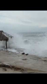 The San Diego surf report