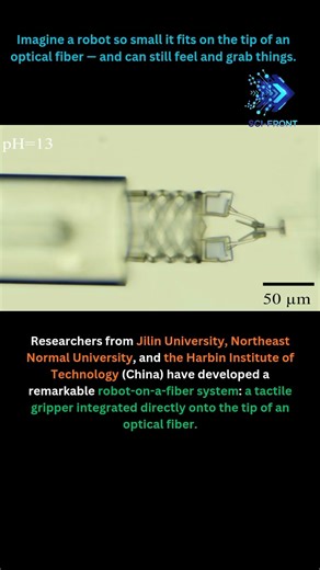 A Tiny Tactile Gripper Built on an Optical Fiber Enables Sensing and Actuation at the Microscale