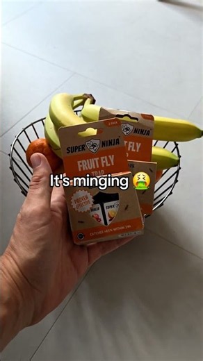 How to get rid of Fruit Flys