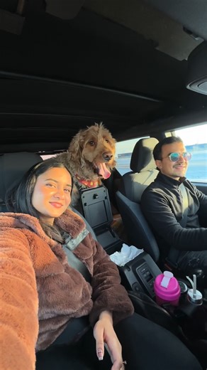 Akshit and Tamanna | Travel Couple ✈️ on Instagram: "The journey matters just as much as the destination—which is exactly why we chose @turo for our Rockies getaway. 🚙🏔️ For a winter trip to Kananaskis, we didn’t want to settle for “whatever is available” at a rental counter. We wanted something safe, winter-ready, and fun. We booked this Ford Bronco directly from a local host and it was the perfect upgrade for the snowy roads. No lines, no stress, just the exact 4x4 we needed to travel in sty