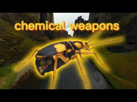 The Beetle That Explodes: Nature’s Perfect Chemical Weapon