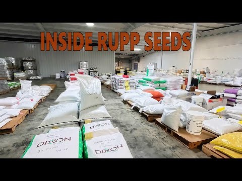 What Really Happens When You Order Seeds