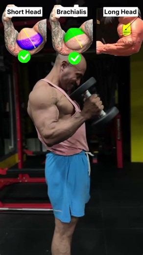 Build 3D Biceps Fast: Target All 3 Muscle Heads!