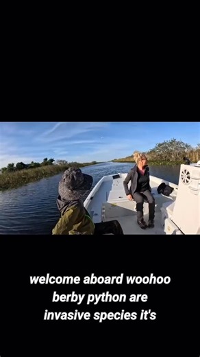 @outdoor_boyz__ on Instagram: "Pt:6 Thrilling Python Hunt: Battling Invasive Giants in the Everglades Tommy and Luke embark on an adventurous mission in the Everglades to hunt invasive Burmese pythons, highlighting the ecological impact of these reptiles in Southern Florida. The narrative provides an engaging backstory about how Hurricane Andrew led to the escape of these pythons, setting the stage for their thrilling expedition. #everglades #burmesepython #invasivespecies #ecologicalimpact #hur