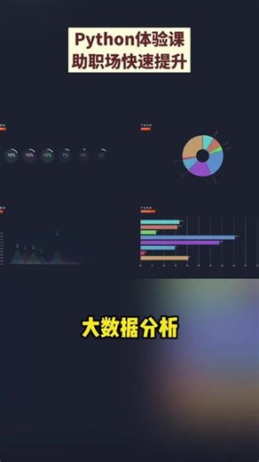 职场突围：学会 Python，工作事半功倍