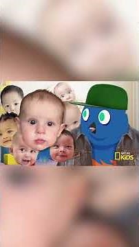 Check Out New York for New Years!🗽 | 50 Birds, 50 States | @natgeokids