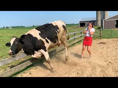 Over-Dramatic Animals Who Deserve an Oscar 😂 Funniest Animal Videos 2026