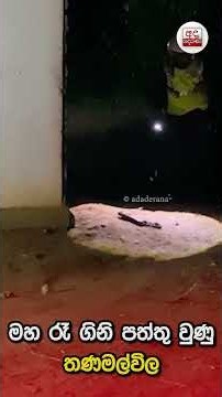 මහ රෑ ගිනි පත්තු වුණු තණමල්විල | අයෙකු රෝහලට | Ada Derana