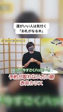 【赤井カラス】運がいい人は気づくお札がなる木『島田秀平のお開運巡り』 #開運 #占い #shorts