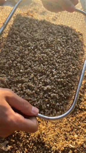 Beach Finds – I Found a $10,000 Ruby Teardrop Pendant