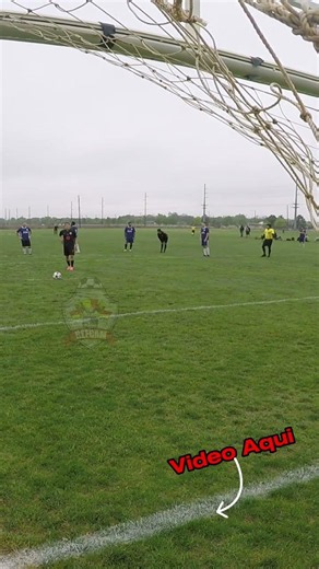 GOOOAALL #refcam #arbitro