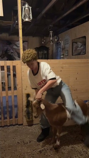 Napoleon dynamite ride the goat