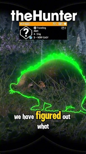 Just Learned THIS About the WILD HAGGIS… 😱 The Hunter: Call of the Wild #cotw #thehunter