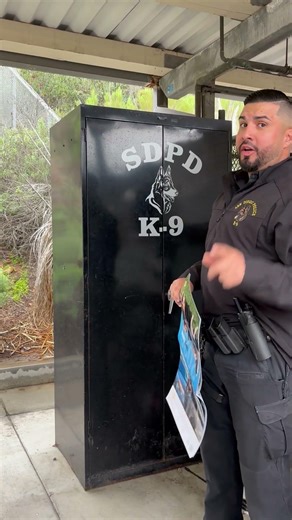 Places to display your 2026 Canine Calendar 📅🐾