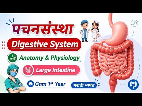 LARGE INTESTINE | ANATOMY & PHYSIOLOGY | GNM 1ST YEAR | NURSING CLASSES 