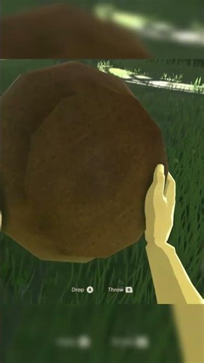 That one slow kid #vr #gaming #funny #botw #mods #cemu #link #zelda #pots #smash