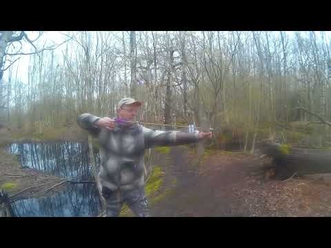 AURORA MASTER ARCHER 3D FIELD ARCHERY COMPETITION - 26.03.2023 - TARGET 037 #archery #3darchery