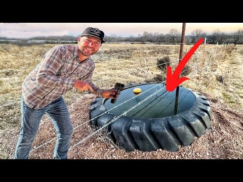 We Found THIS Living in Our Bison Water Tank… (We Were Shocked)