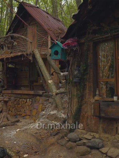 “A Rainy Day in My Off-Grid Cabin — Bees, Dogs & Fire-Cooked Comfort Food 🌧️” Soft rain falling on my hidden off-grid cabin, bees buzzing in the hives, dogs relaxing by my side, and dinner slowly cooking over an open fire — this is the peaceful life most people only dream about. No city noise, no stress… just nature, warmth and simple living. #OffGridLife #CabinVibes #RainyDayMood #FireCooking #HomesteadLife