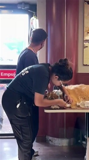 McDonald’s turned into medical center in Venezuela