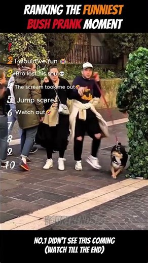 Ranking The Funniest Bush Prank Moments 😂 #shortfeed #prank #entertainment