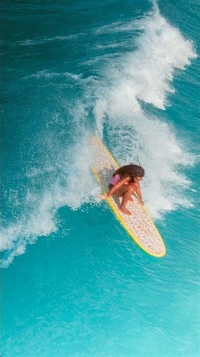 26 Days After the Shark, She Paddled Back Out