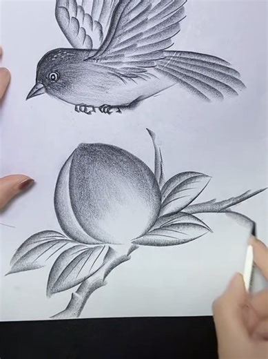 Pencil Drawing Tutorial for Beginners: Step-by-Step Guide