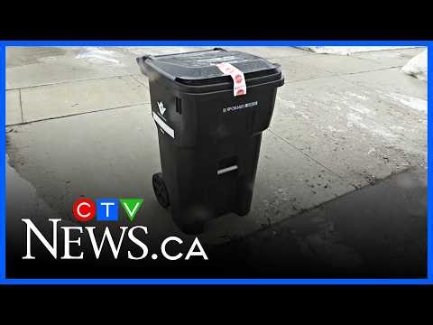 Waste collection cart system coming into effect