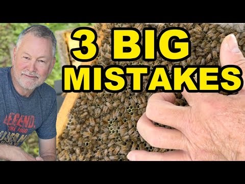 Beekeeping | 3 Mistakes That Will Hurt Your Bees in 2026