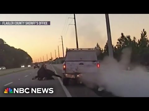 Chaotic Florida traffic stop ends with truck ramming into police vehicle