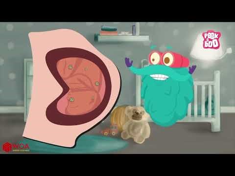 Various Types of Inventions | Diversos Tipos De Inventos | Video Educativos | Dr Binocs Show