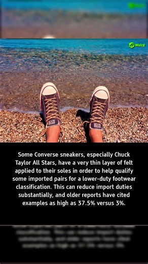Why there’s carpet on the bottom of your sneakers 🕵️ #Converse #Sneakerhead #converseallstars
