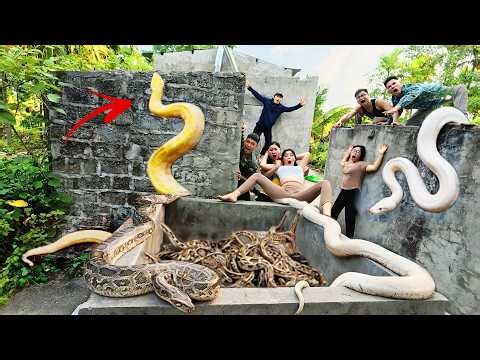Brave hunters risked their lives to capture a nest of giant pythons in order to rescue the girl