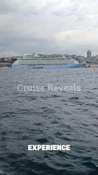 Never Book a Christmas River Cruise in Europe Without Knowing This #cruiseship #cruise