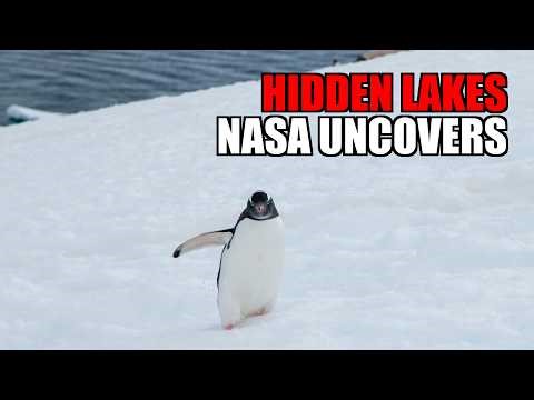 NASA'S ANTARCTIC SHOCK!