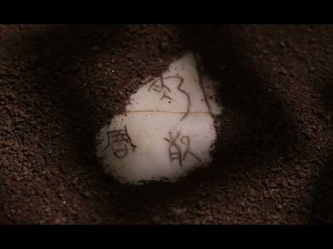 Ancient Bones, Modern Science: Unlocking the Secrets of China's Lost Dynasty