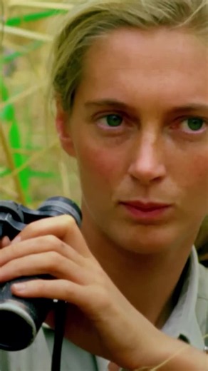 #janegoodall #janegoodallinstitute #belikejane #chimpanzees #conservation | The Jane Goodall Institute UK
