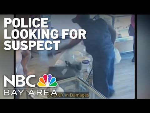 Caught on camera: Suspect destroys San Jose bakery equipment, attacks customer