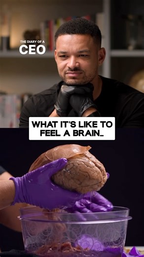 Ever wondered what your brain actually looks like? 🧠 #podcast #brain #health | Steve Bartlett