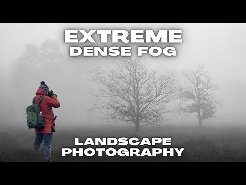 This Very Foggy Landscape Photography trip Demanded a Minimalistic Approach. OM-1 MKII