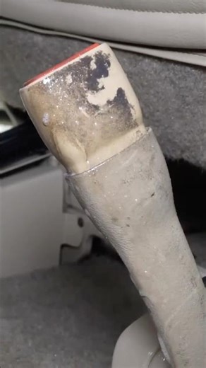 My Steamer Saved the Day!