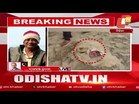 Dense Fog Strands Passenger Ferry Mid-Chilika, One Person Untraceable