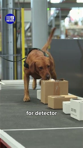 Aus Post opens its largest air and speed hub | 9 News Australia