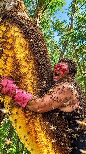 Inside a Giant Wild Honeycomb Harvest 🐝 | From Forest to Pure Golden Honey (Full Process)