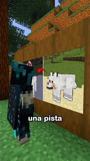 La inspección de Toby 🐾