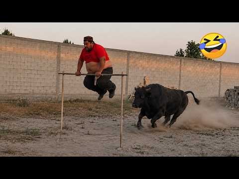 Try Not To Laugh 🤣 Top 100 Funniest Videos Ever | Memes Epic Fails & Pranks Compilation 2026 Part 14