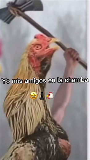 Chamba le bro#granja